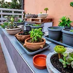 Casa Rossa 3* مونريالي