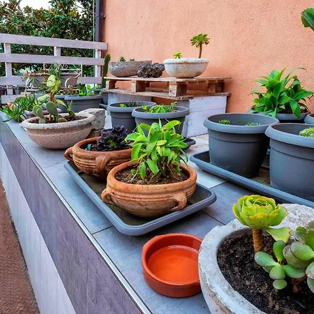 Casa Rossa 3* Монреале